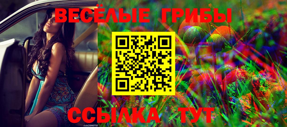Галлюциногенные грибы мицелий  Вход с VPN  Таганрог 