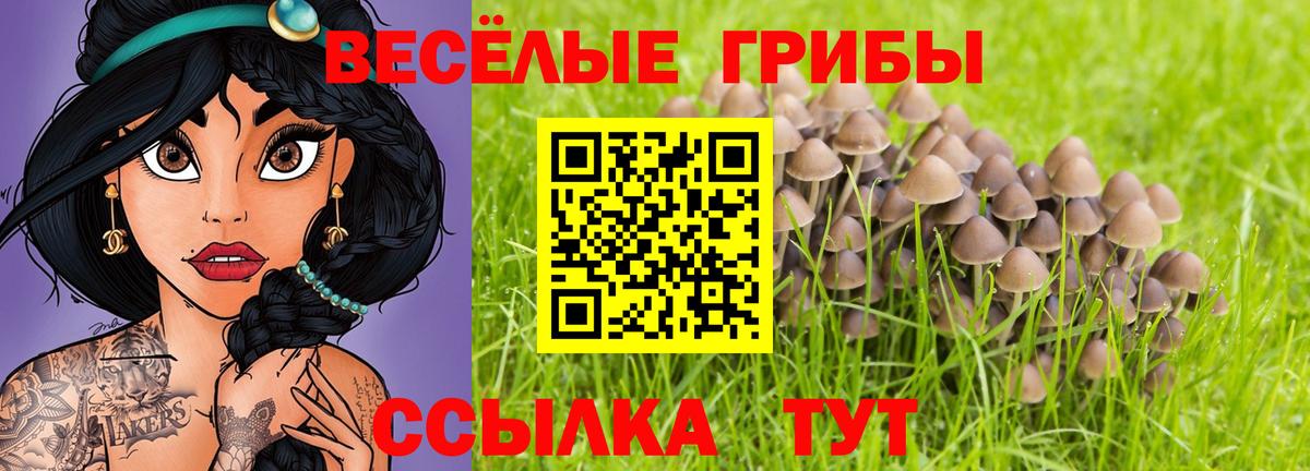 Псилоцибиновые грибы мицелий Таганрог